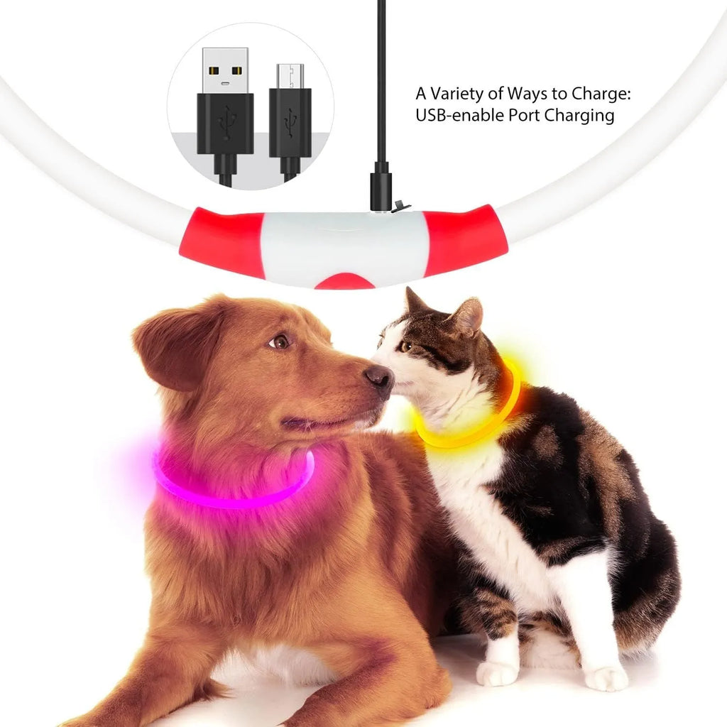 Blue USB rechargeable LED dog safety collar glowing with adjustable 70cm TPU band