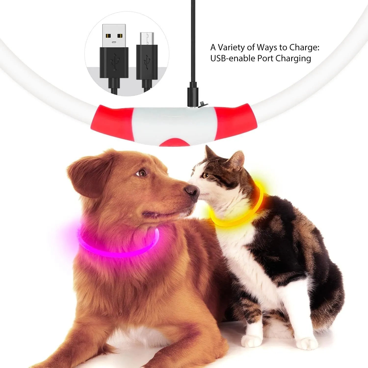 Blue USB rechargeable LED dog safety collar glowing with adjustable 70cm TPU band