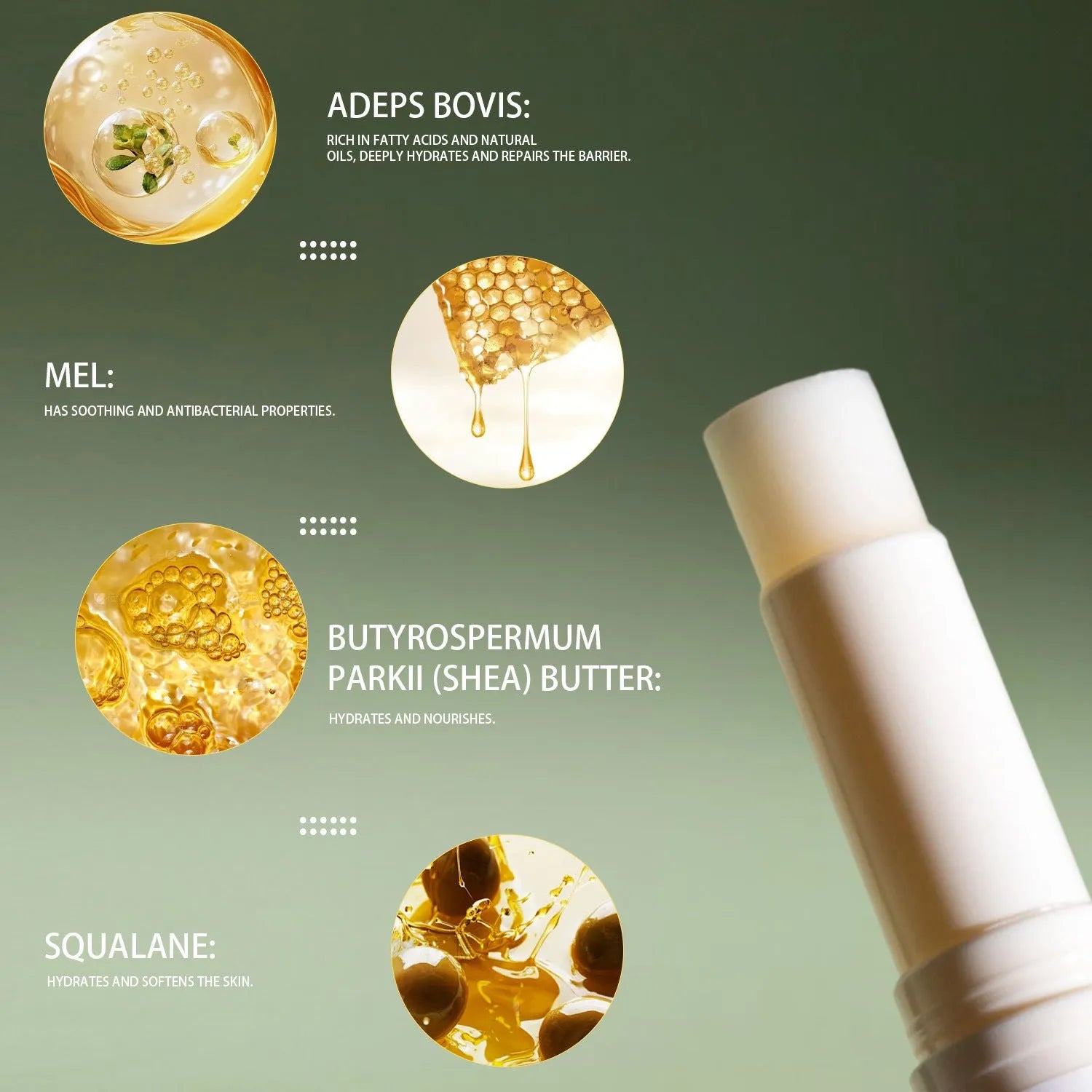 Tallow lip balm stick measuring 83mm in length with square 19mm cross-section containing 5g of product