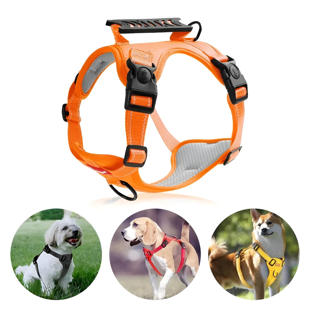 Adjustable polyester dog harness and lead in various colours with reflective trim, shown on size chart.