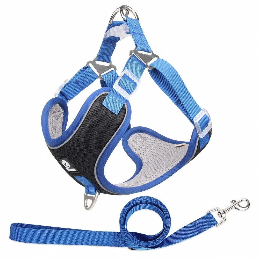 Adjustable mesh dog harness with leash in black colour showing reflective stitching details