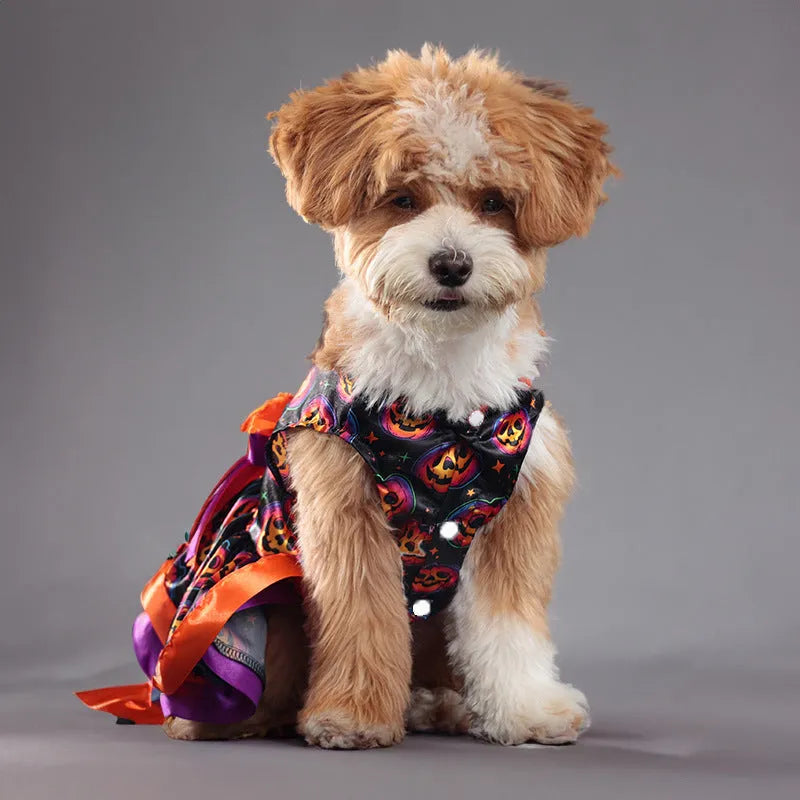 Halloween double-layer pet skirt for dogs in colourful pumpkin print on a model dog.