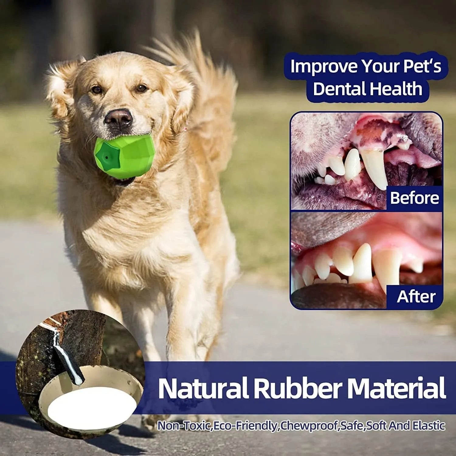 Green natural rubber dog squeaky ball chew toy for large dogs.