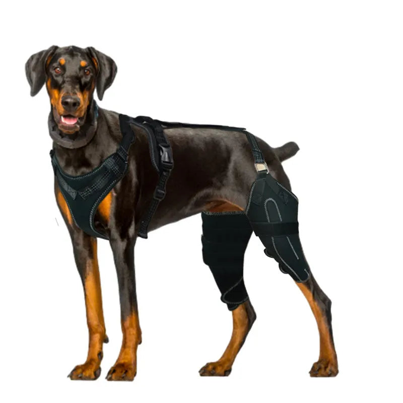 Black adjustable dog thigh protective sleeve with metal support components for post-operative recovery