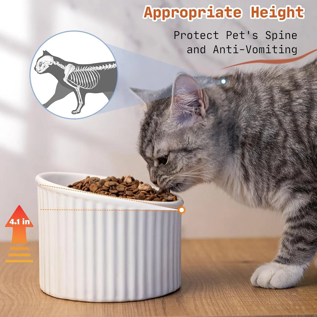 Dark green, light green or yellow ceramic elevated cat bowl with tilted round shape on raised base