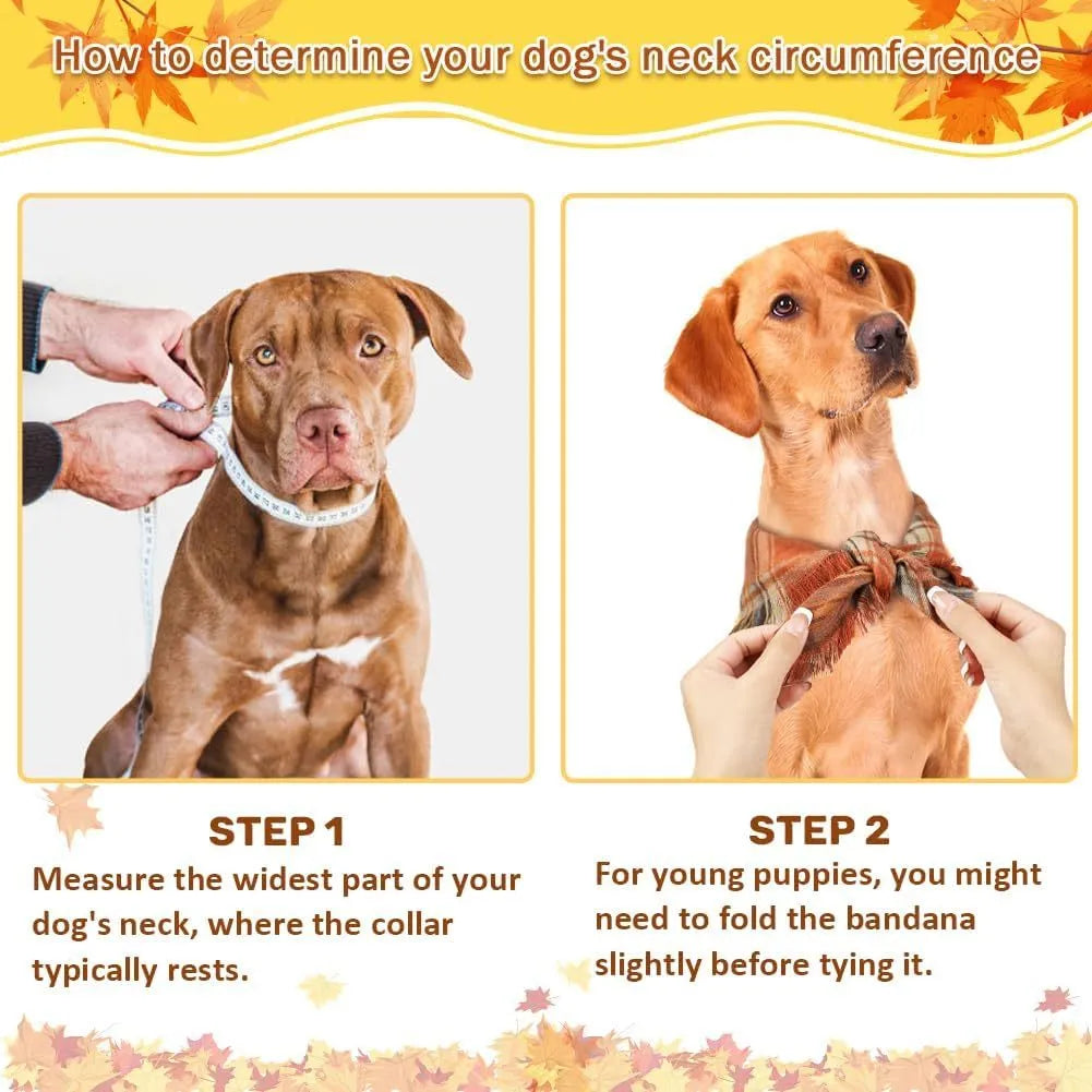 Plaid pattern dog bandana with tassels in autumn colours on pet collar