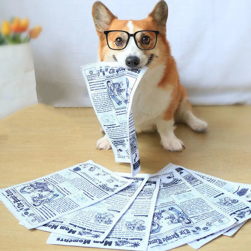 Tear-resistant dog sound toy with realistic newspaper design for small breed puppies