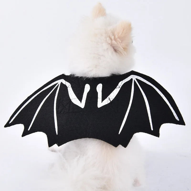 Halloween dog costume collection showing bat suit, devil costume, pumpkin pack and space clothing designs