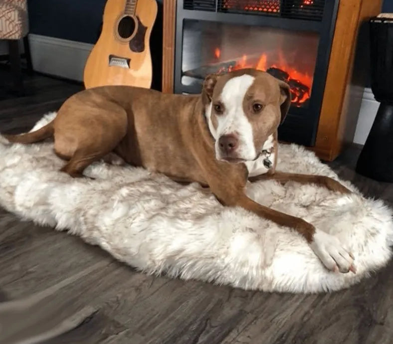 Beige pet dog plush mat on floor with soft 4cm plush surface
