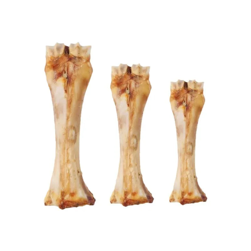 Large, medium, and small size dog molar chew with roasted ox bone flavour for dental cleaning.