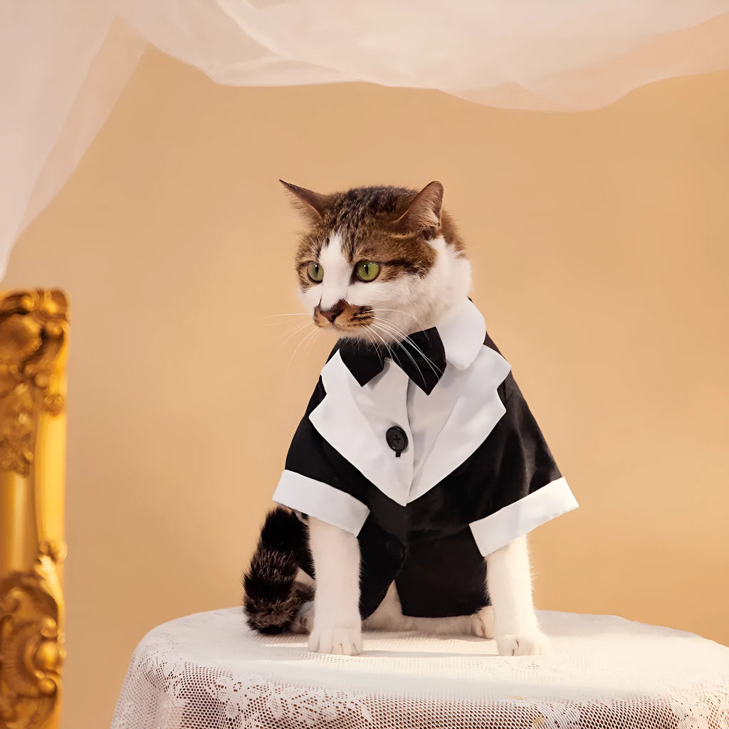 Four-legged dog wedding suit in Chinese style with polyester fabric in black colour