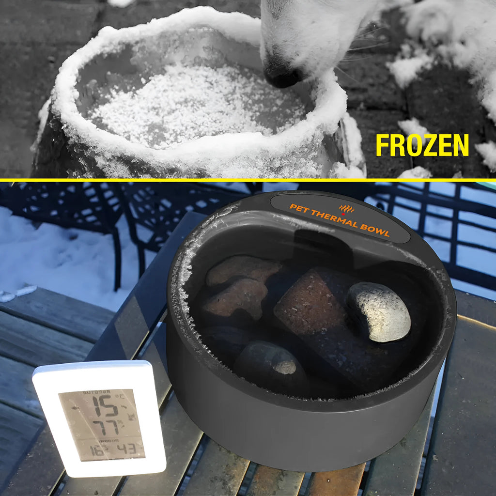 Black ABS plastic electric pet heating bowl for cats and dogs on a table