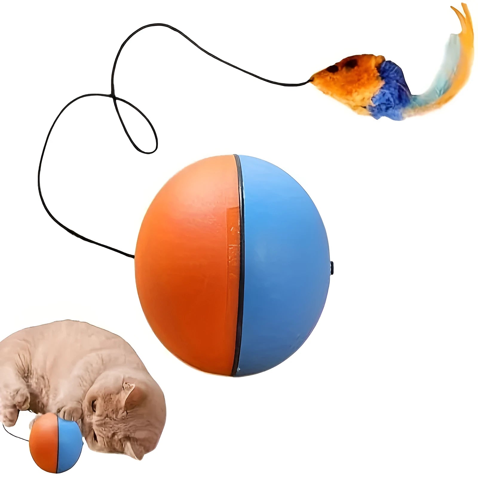Orange and blue interactive motorised cat toy ball with a plush mouse inside, showing its compact size.