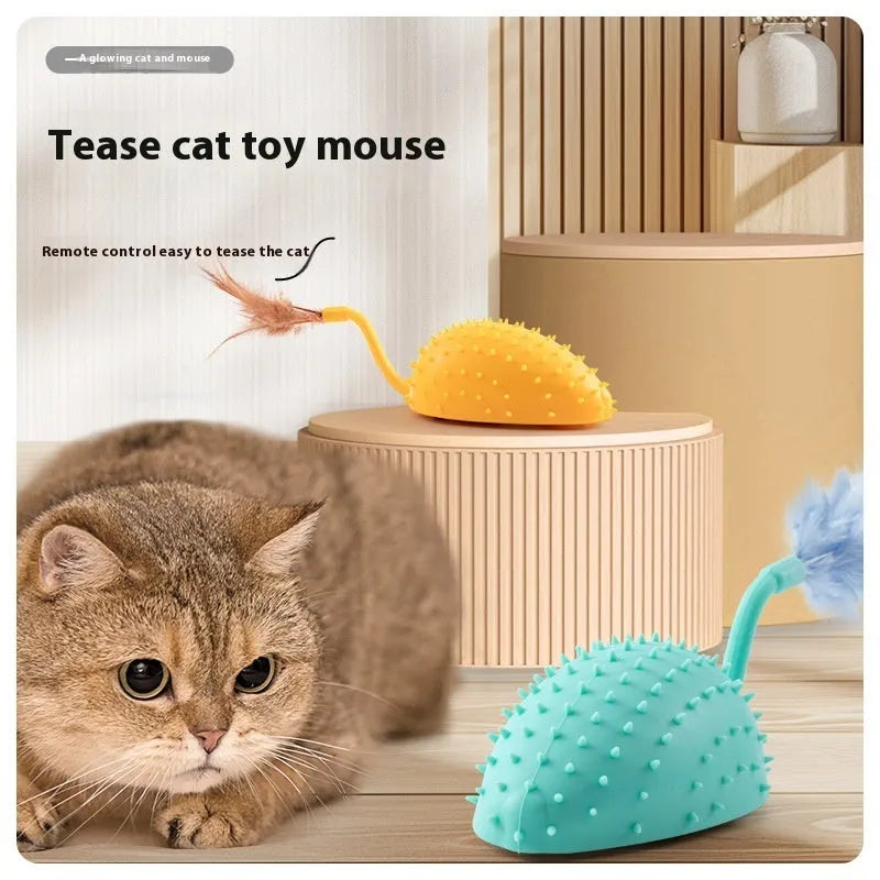 Remote control silicone mouse cat toy with USB cable and feather attachment in cyan colour
