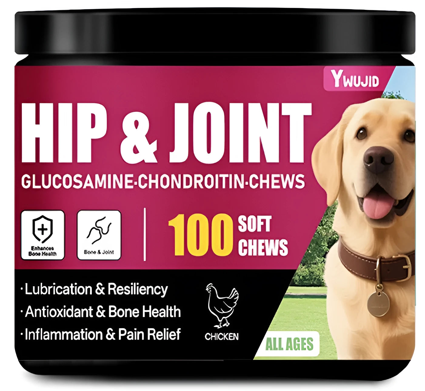 300g can of Chondroitin Chewable Soft Granules dietary supplement