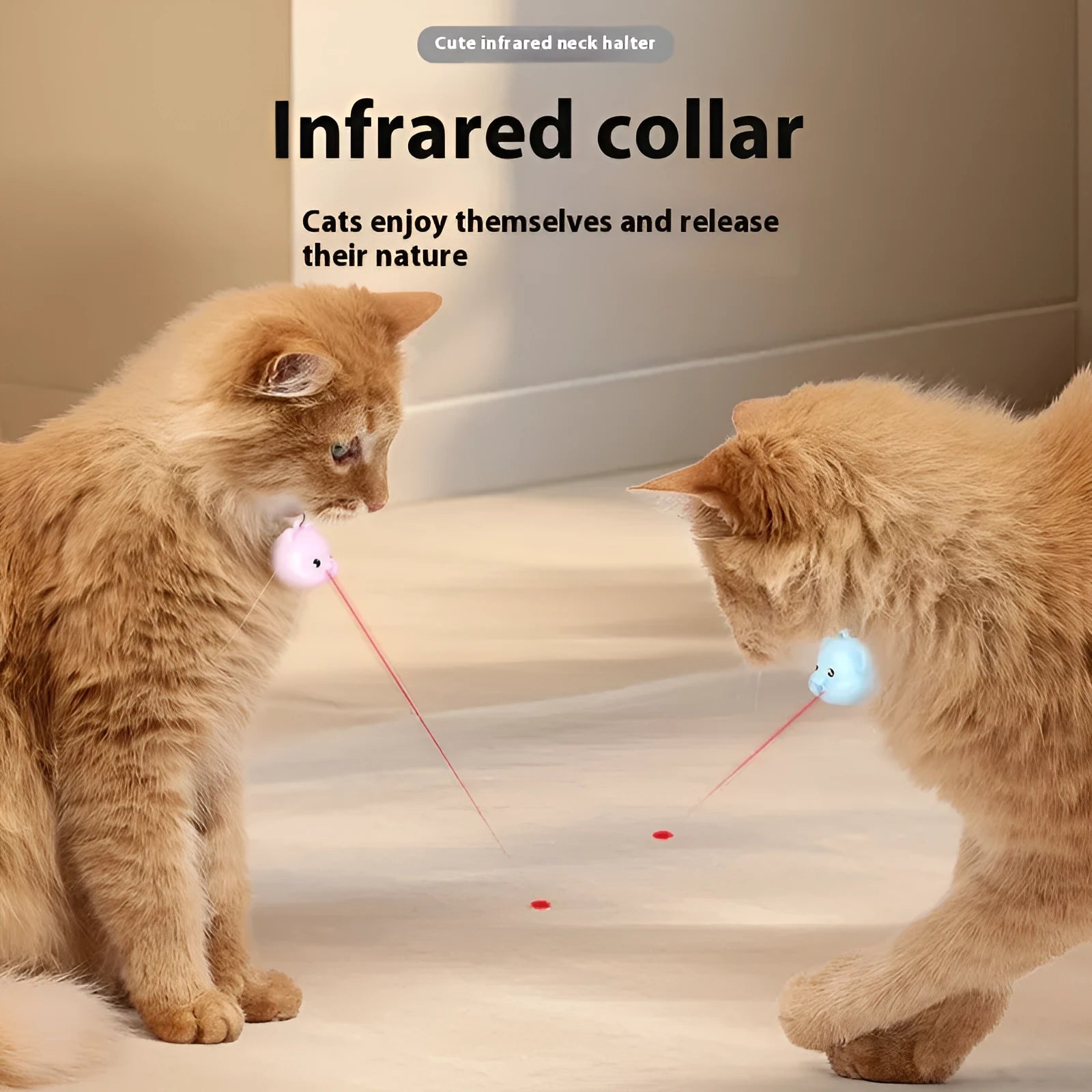 Rechargeable remote control cat collar with infrared halter and adjustable plastic collar in pink or blue options