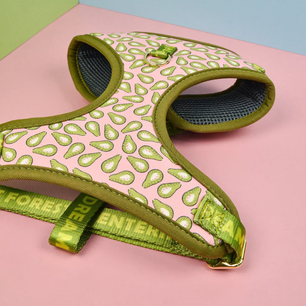 Pet harness and leash set with six colour patterns for medium and large dogs