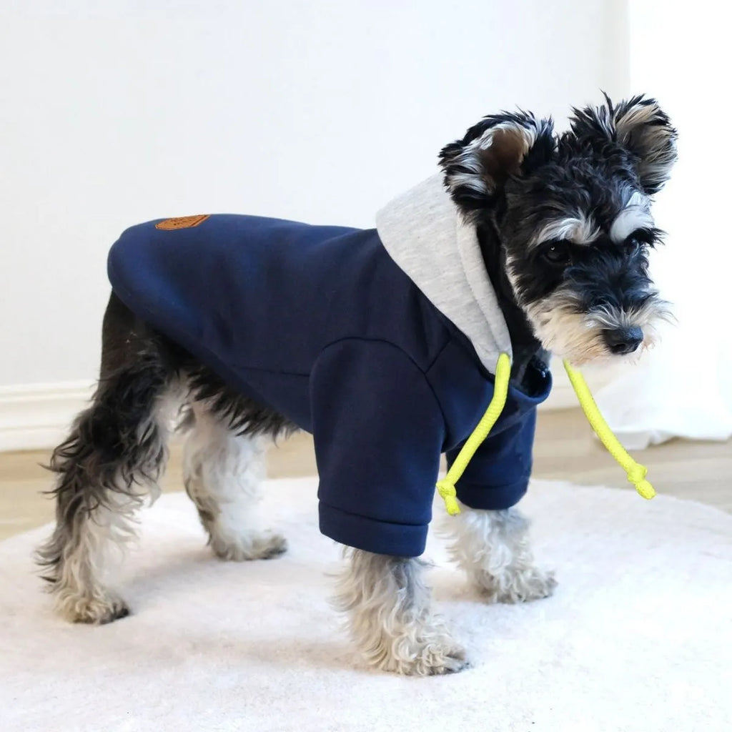 Dark red pet hoodie pullover with hood on a dog showing simple British style design