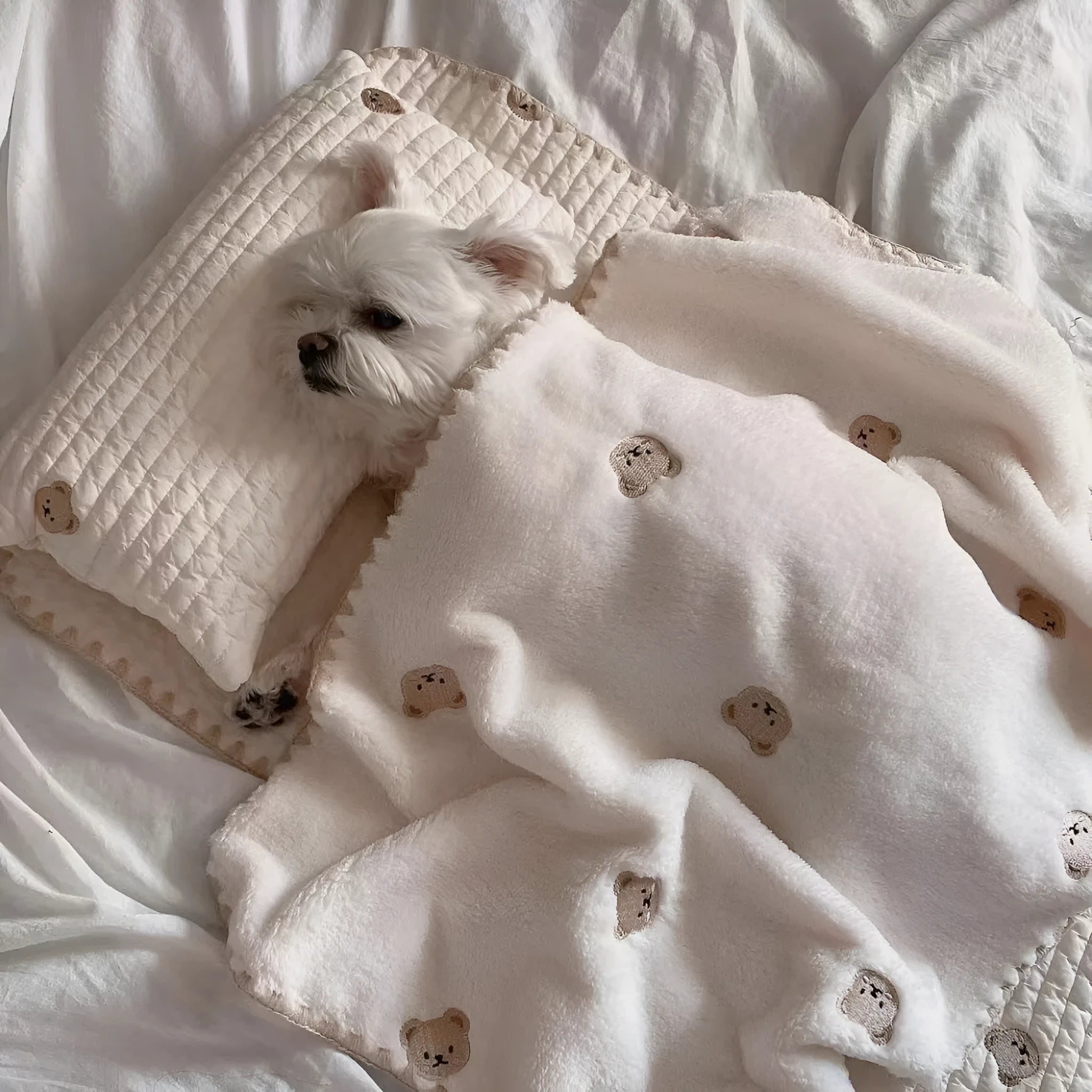 Bear design dog bed set showing pillow, mattress and quilt in soft polyester fabric