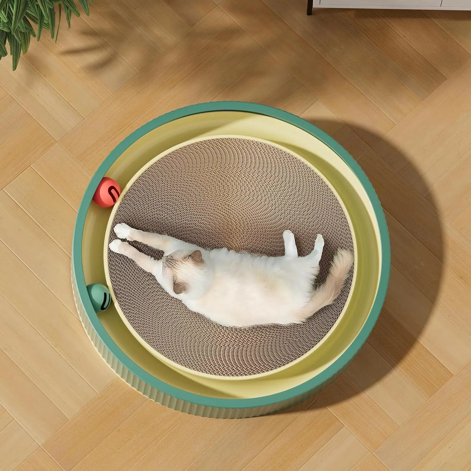 Large green cat scratching board with ball toys and replaceable cardboard core for indoor cats