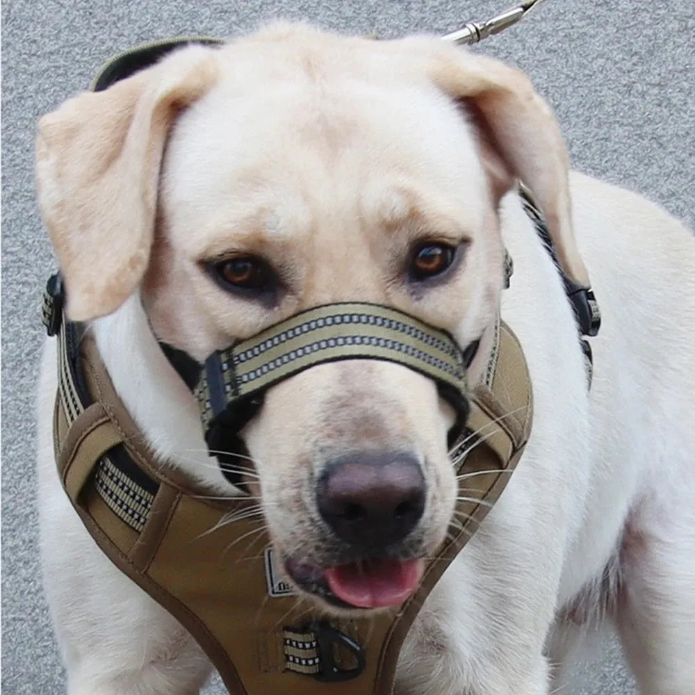Adjustable anti-biting dog muzzle with reflective trim for medium and large breeds