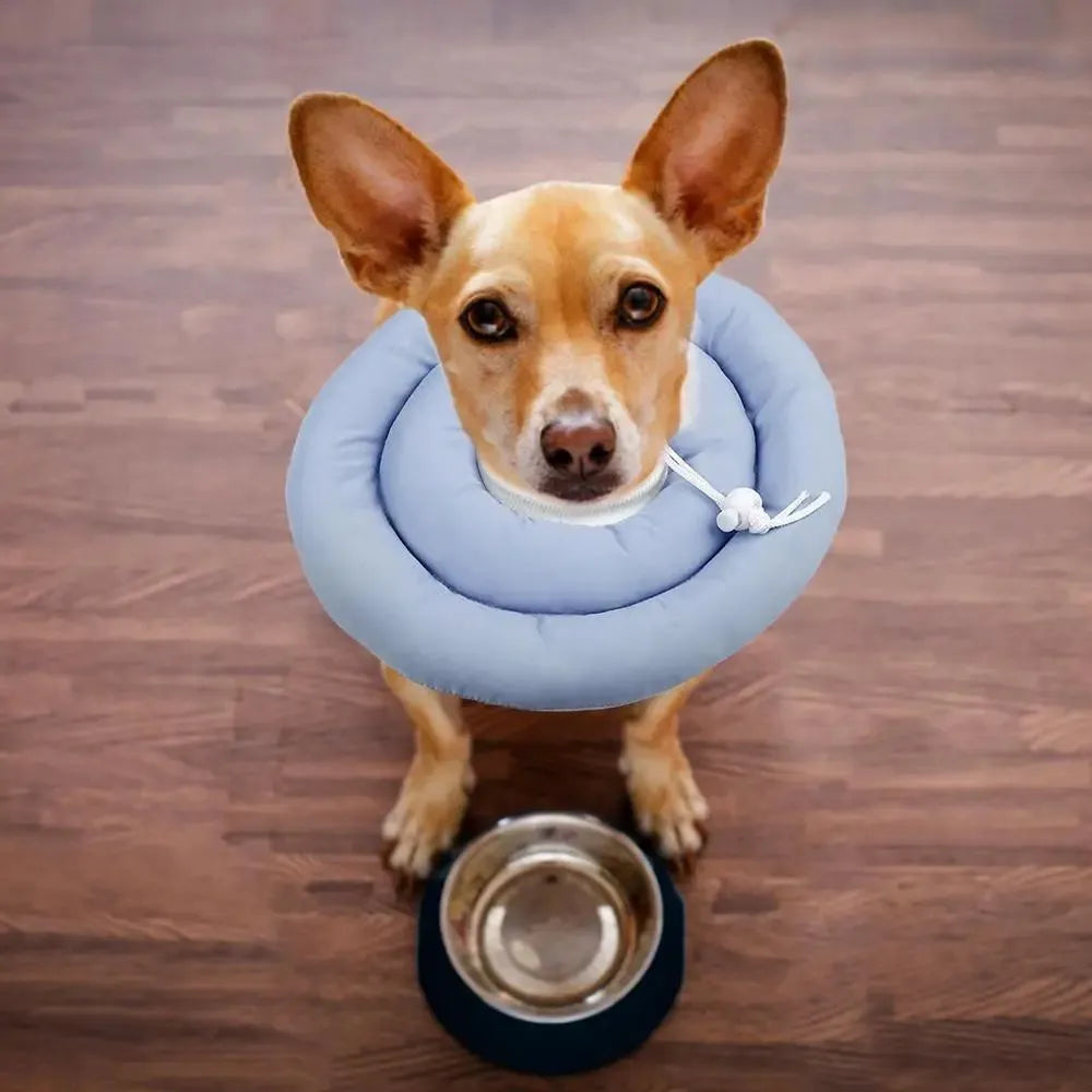 Blue adjustable Elizabethan recovery collar for a dog or cat on a white background.