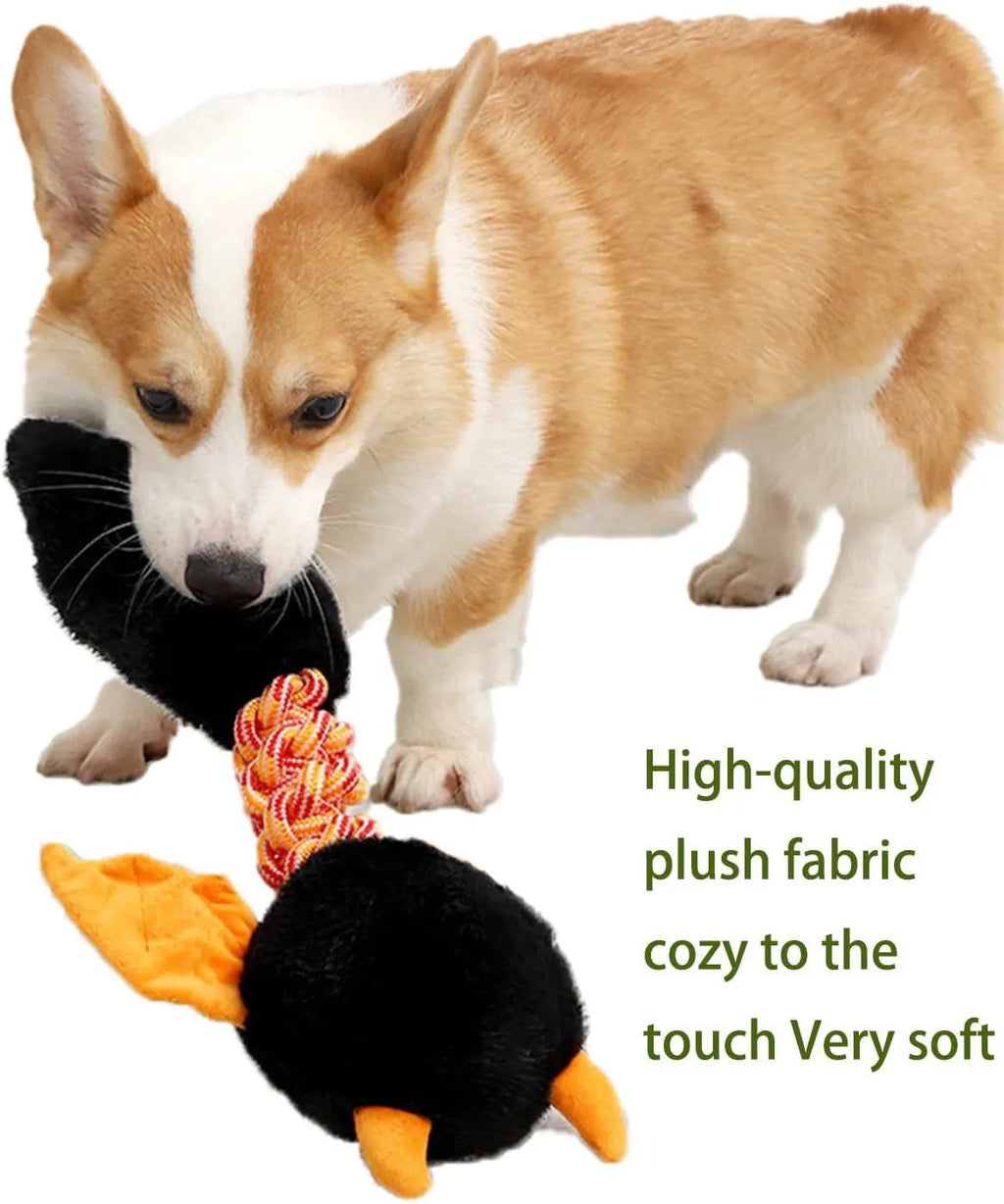 Plush dog toy with cartoon design in assorted colours showing squeaker and rope knot details