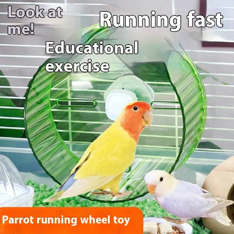 21 cm transparent plastic parrot running wheel exercise toy on a white background