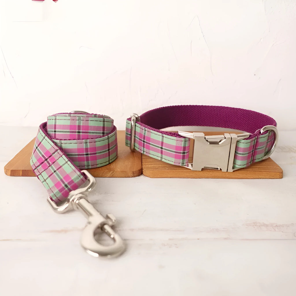 Mint green polyester dog collar and leash set with traction belt