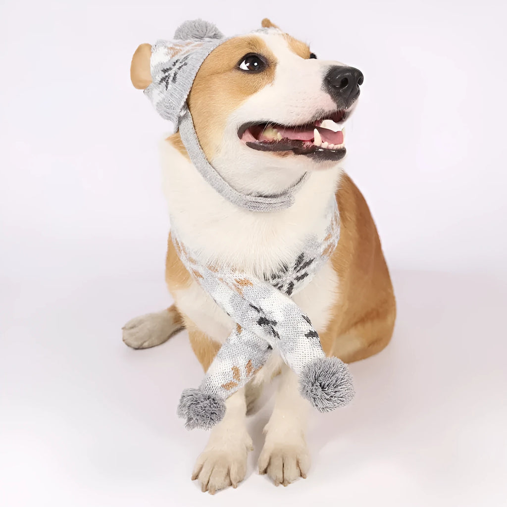 Grey Japanese retro jacquard pet sweater, hat, and scarf set for a small dog