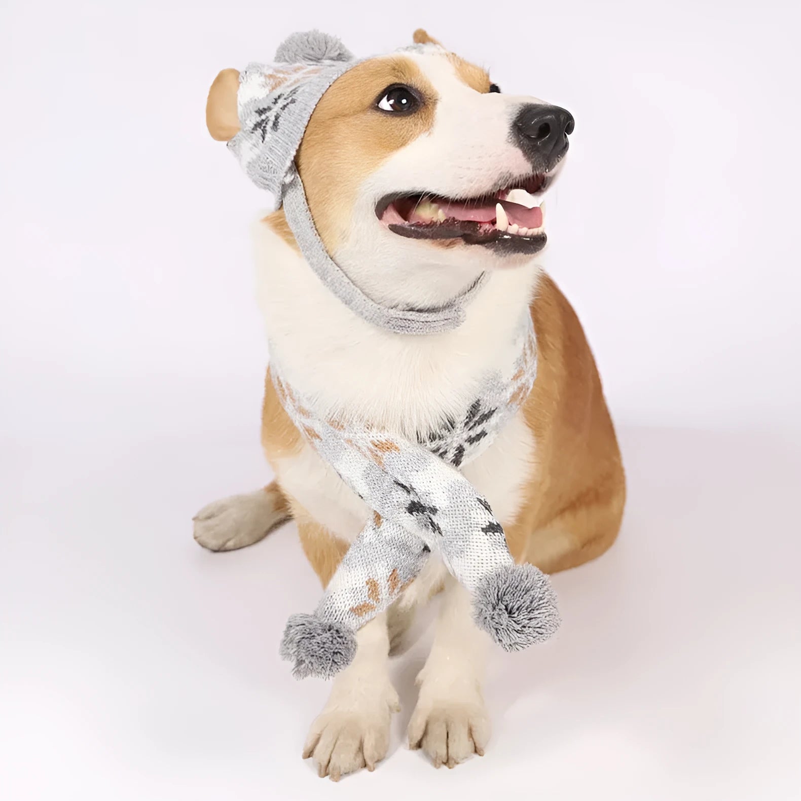 Grey Japanese retro jacquard pet sweater, hat, and scarf set for a small dog