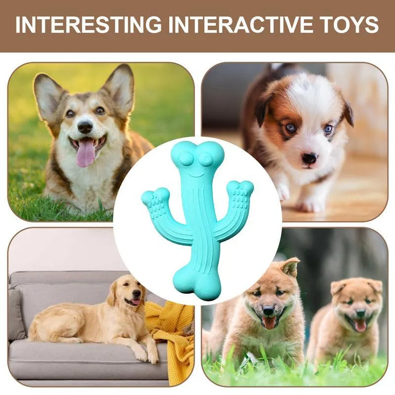 Beige, blue, or purple cactus-shaped dog chew toy made from bamboo fibre and rubber.