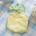 Small dog wearing a blue elastic vest with heart and bow details and adjustable suspenders.