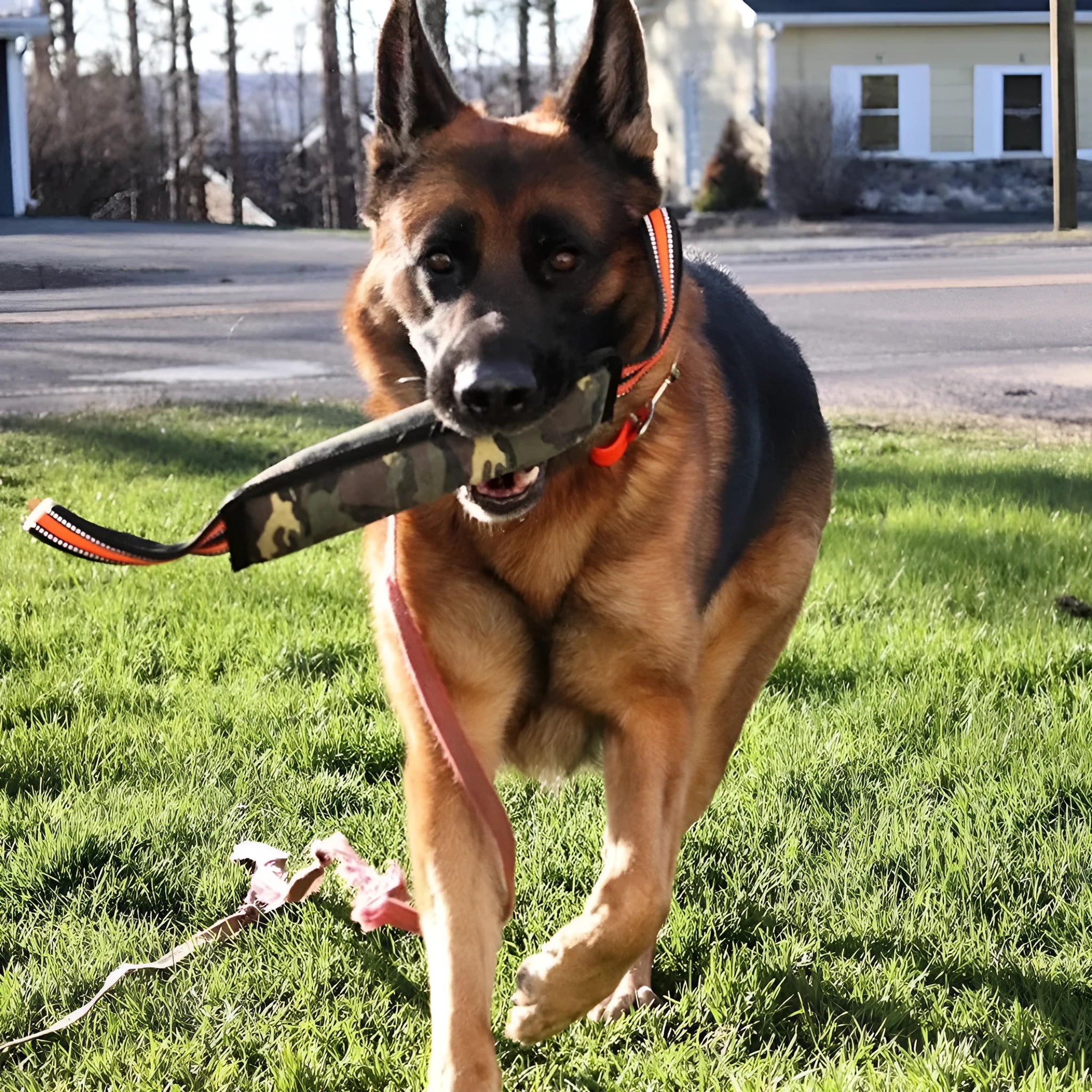 A long, yellow-edged jute dog bite stick with reflective material, measuring about 55cm in length.