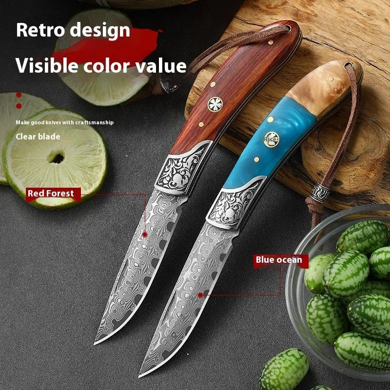 VG10 stainless steel folding portable knife in blue or red handmade national style