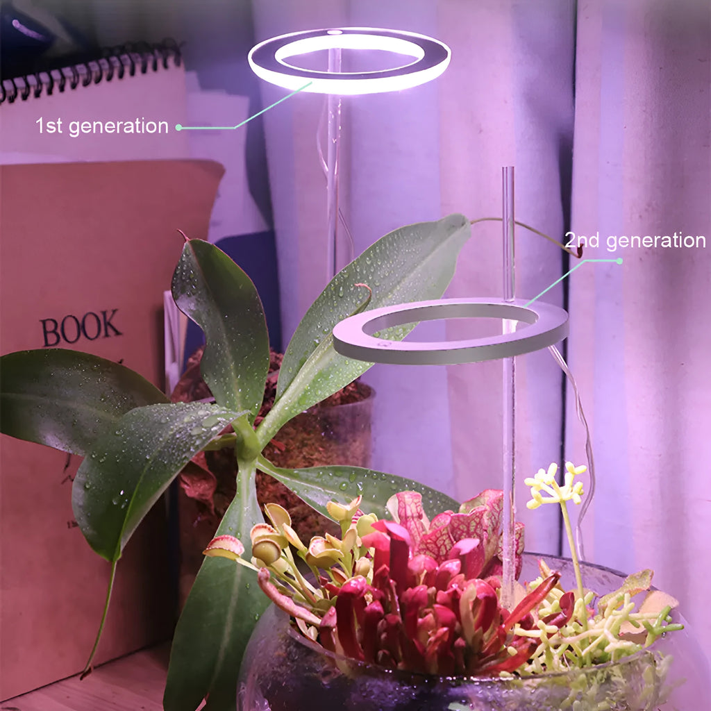 USB Angel Ring LED full spectrum grow light for indoor plants on a desk.