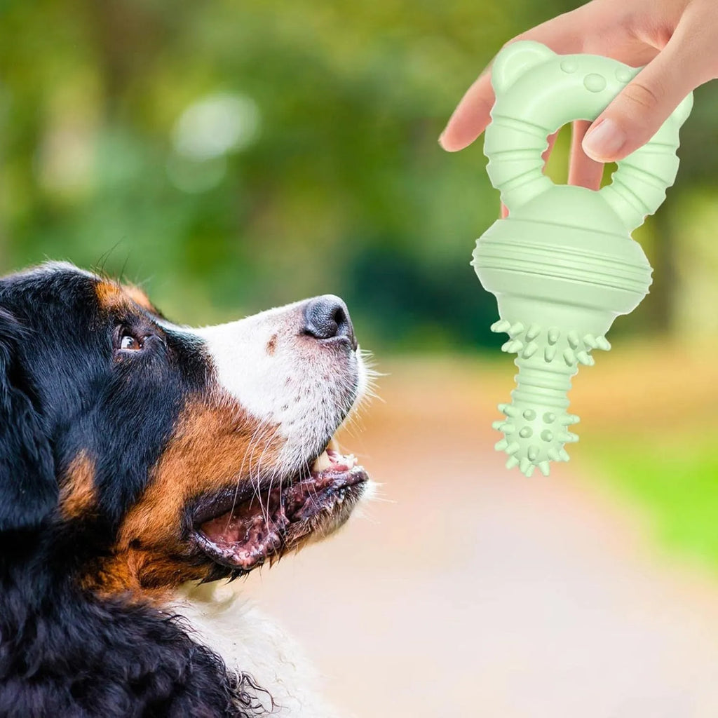 Blue rubber dog chew toy with textured surface for teeth cleaning, 13.5cm long