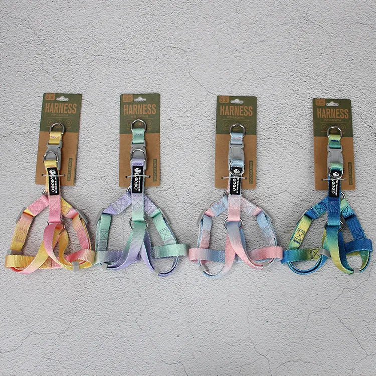 Gradient colour nylon dog leash set with collar and harness options for small medium dogs.