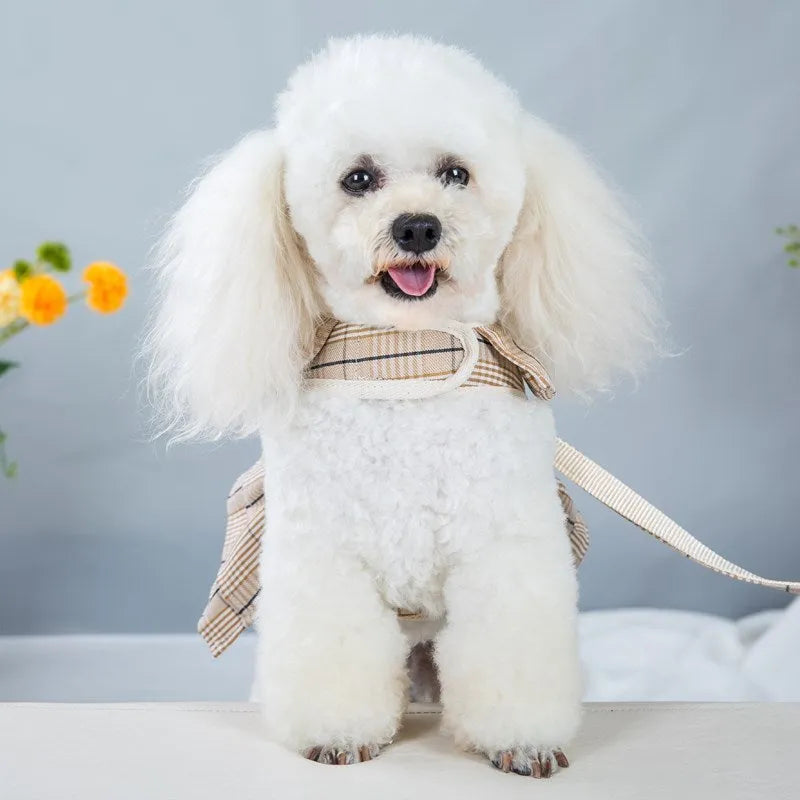Polyester dog harness vest with chest strap and attached hand-holding rope in beige colour
