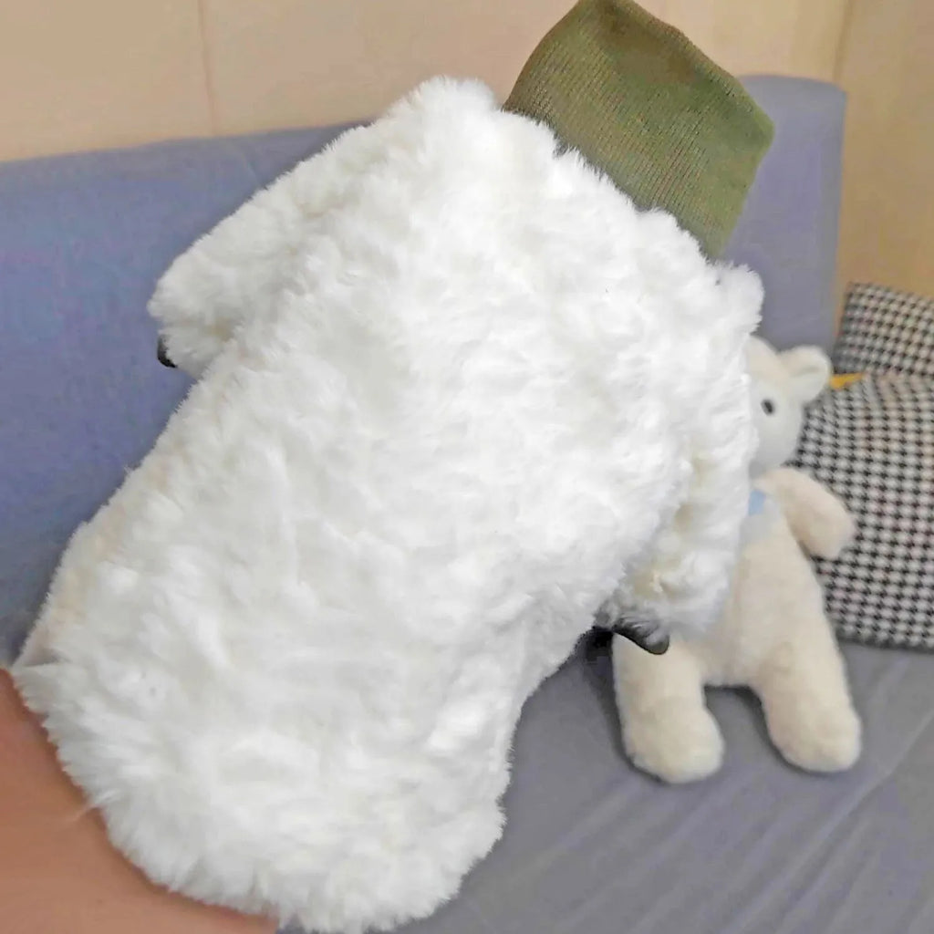 Creamy green plush dog coat with high turtleneck collar on a small dog.