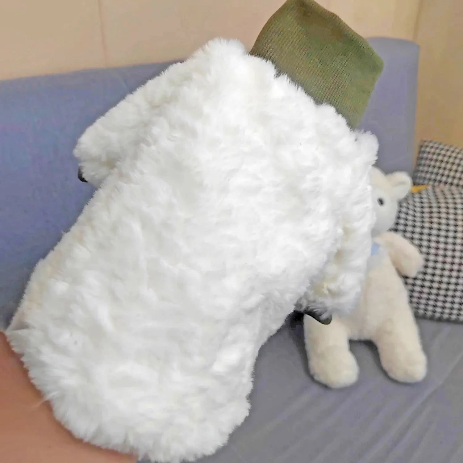Creamy green plush dog coat with high turtleneck collar on a small dog.