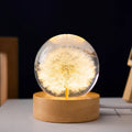 Luminous 3D dandelion crystal ball night light on a beech wood stand