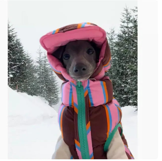 Dirty pink striped knitted vest and matching hat for a small dog on a grey background.