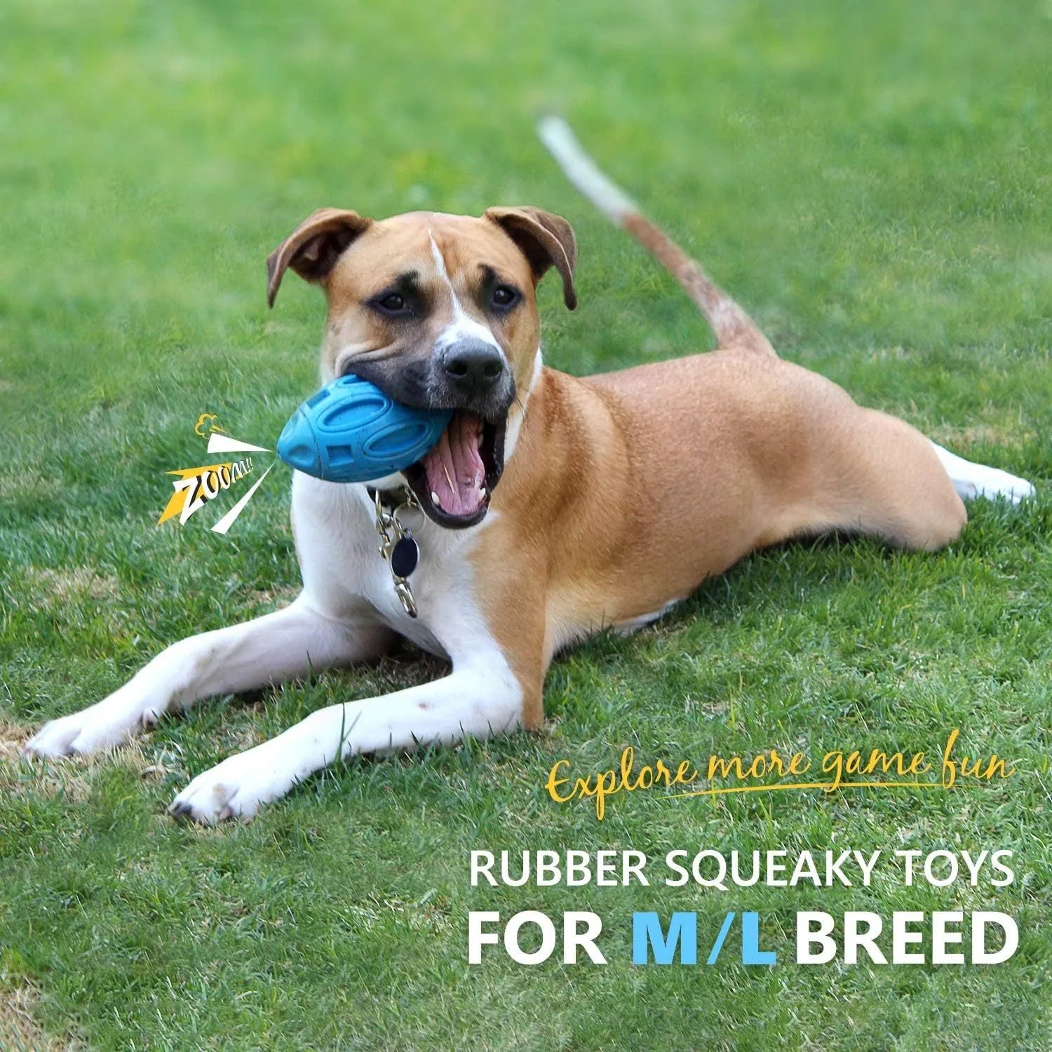 Natural rubber squeaky dog chew toy in blue, green and orange colours for medium and large breed dogs
