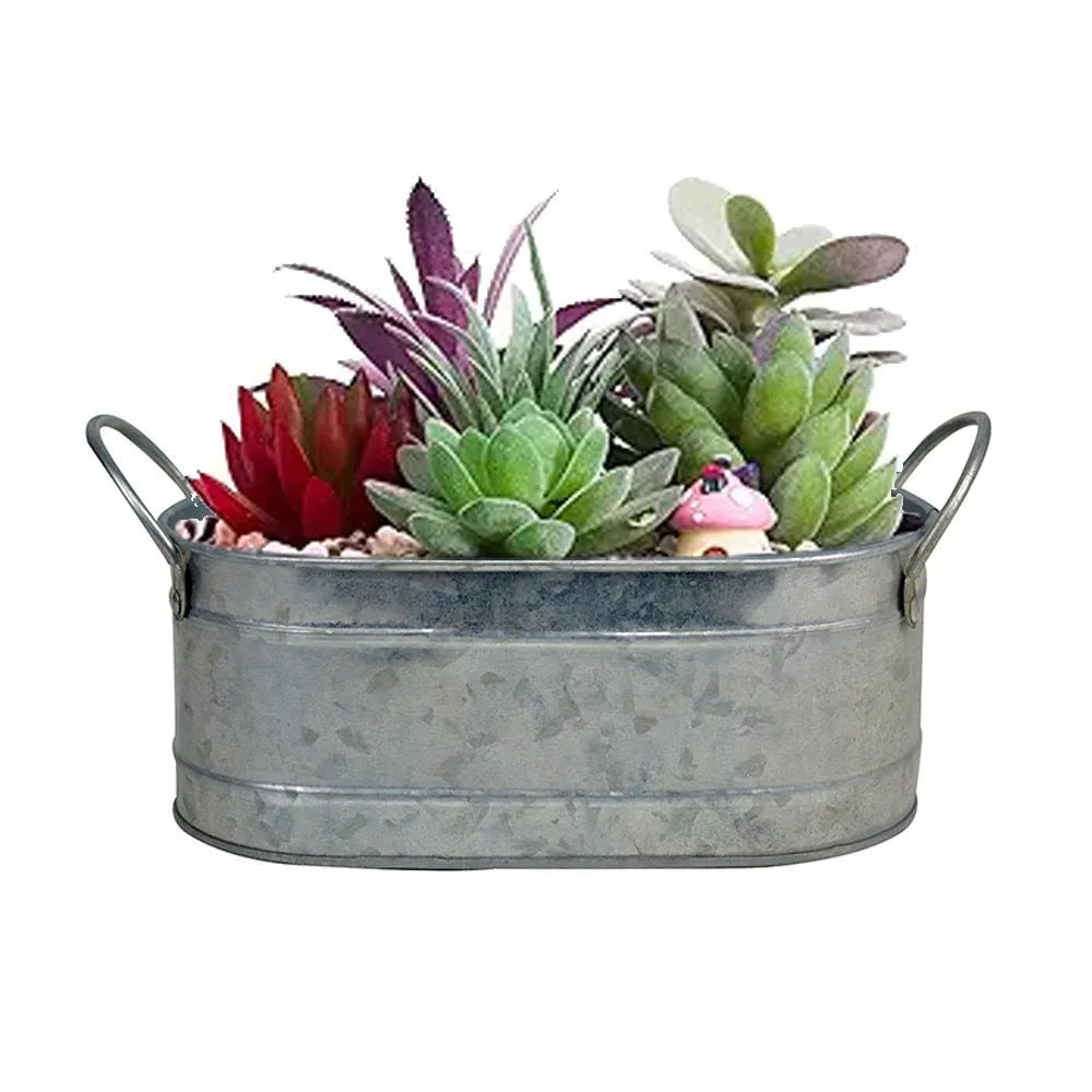 Iron metal succulent flowerpot for desktop use, showing a simple pot design.