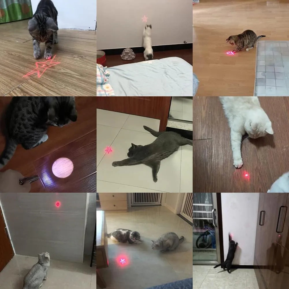 Pink and black infrared cat teaser toy with key chain measuring 5cm by 2.5cm