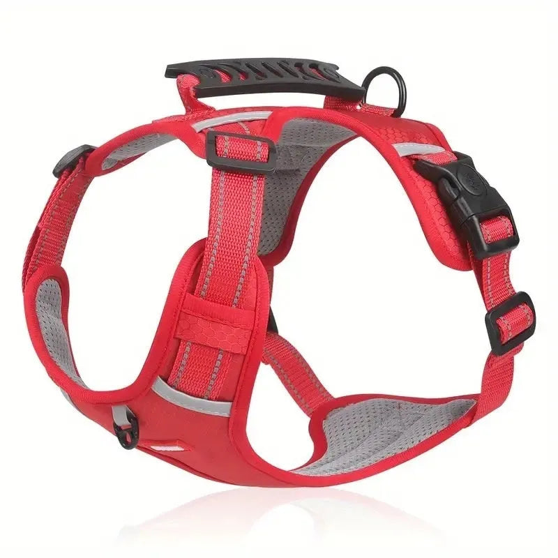 Adjustable polyester dog harness and lead in various colours with reflective trim, shown on size chart.