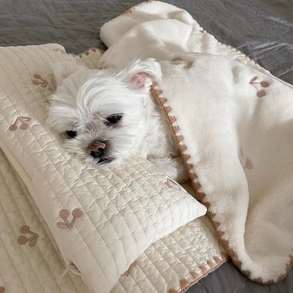 Bear design dog bed set showing pillow, mattress and quilt in soft polyester fabric