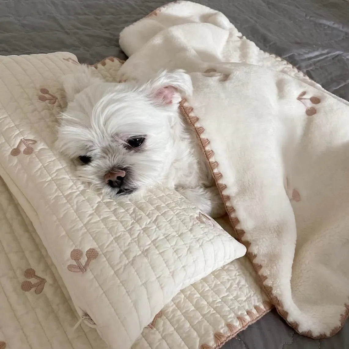 Bear design dog bed set showing pillow, mattress and quilt in soft polyester fabric