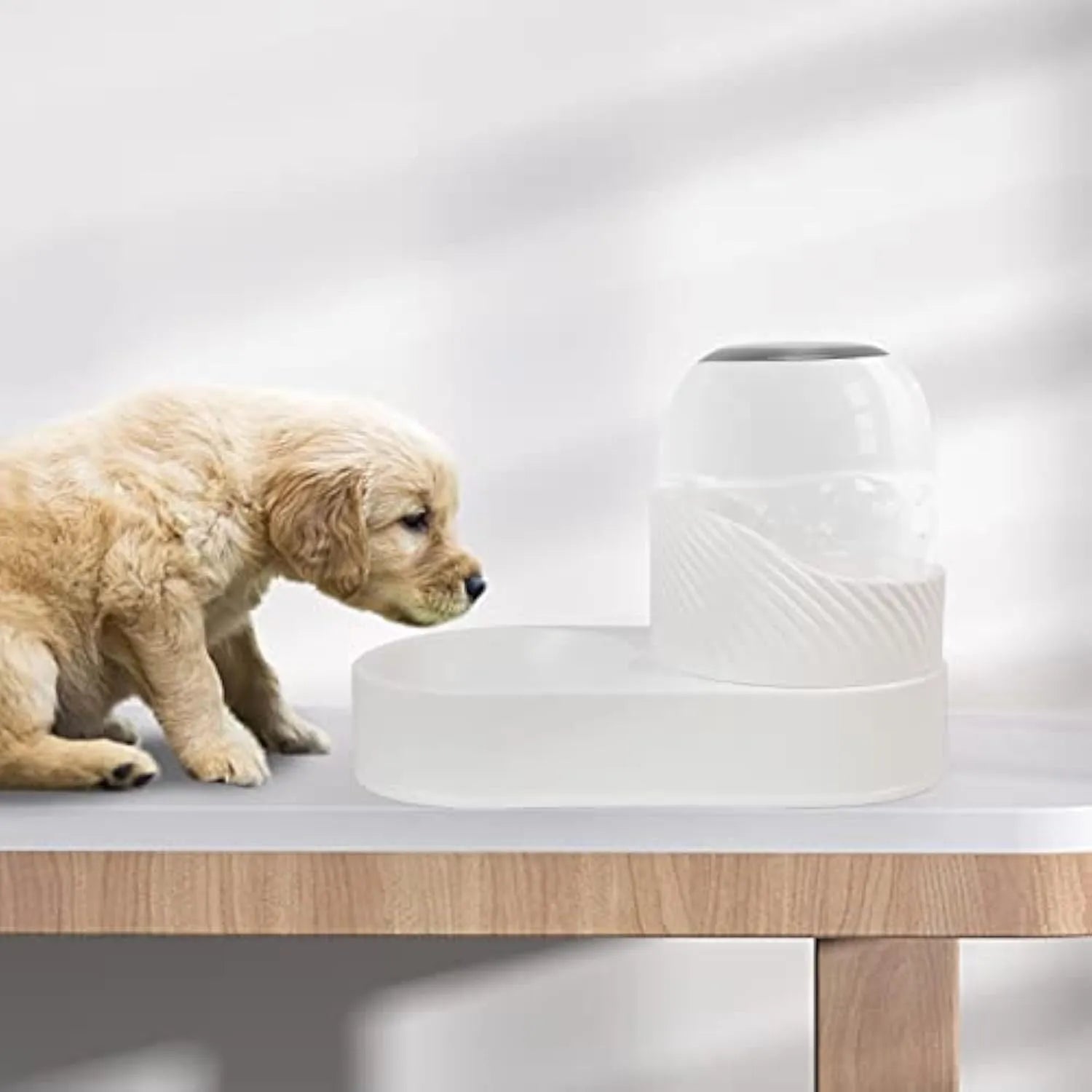 White automatic cat feeder and water dispenser set with wave-shaped design